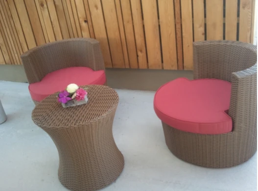 Salon_jardin_rouge