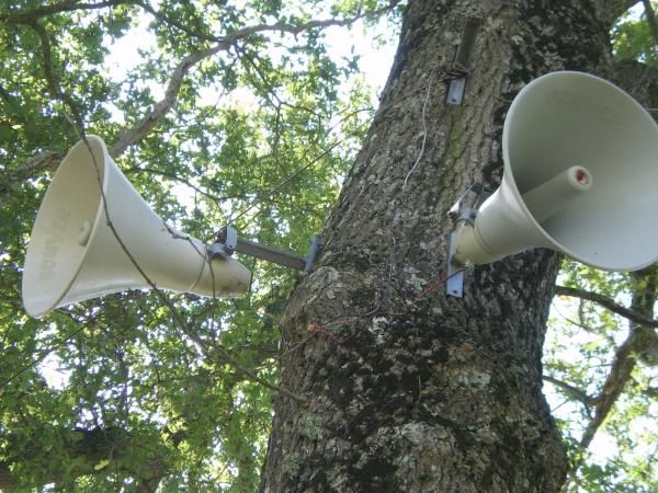 Sonorisation à Guécélard